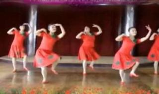 水兵舞基本步教学